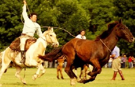 San Antonio de Areco, D�a de la Tradici�n